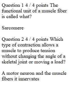 Week 10 Quiz 7